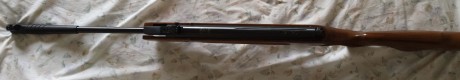Vendo carabina aire comprimido comprada hace unos pocos dias Hatsan modelo Striker 1000x calibre 5. 5 01
