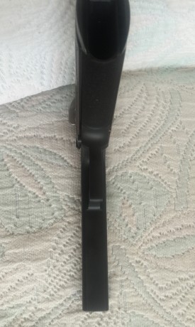 VENDIDA ,,,,,pistola STI targert master de 6 pavon  de 9mm tiene un año  ,la compre nueva ,esta practicamente 122