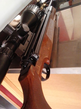 Hola, vendo esta preciosidad de carabina en perfecto estado estetico y funcional.
 calibre 4.5
 se encuentra 02