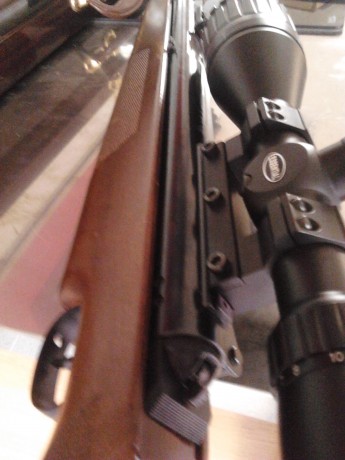Hola, vendo esta preciosidad de carabina en perfecto estado estetico y funcional.
 calibre 4.5
 se encuentra 01