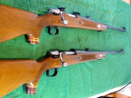 Me deshago de uno de mis dos Santas. Me paso al tiro deportivo y me quedo con el 308.
Lo compré de 2ª 02