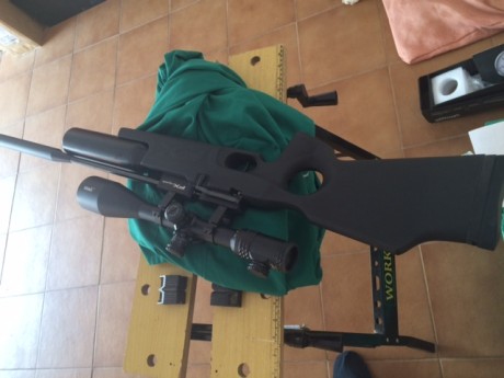 Hola,pues eso vendo o cambio fx roya 400 5,5 ,cambiaria por ppc de 6,35 solo por ese calibre.
el fx esta 30