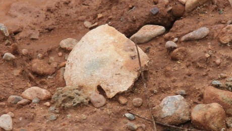 En caso de serlo,¿son antiguos o de época actual?
 Y la siguiente fotos , ¿puede ser un esqueleto?.
  50
