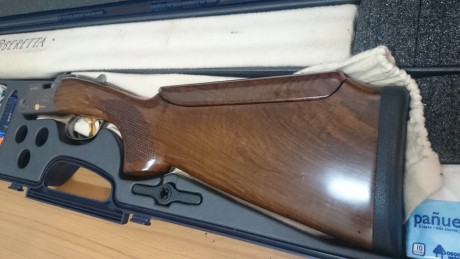 Vendo mi Beretta 682 Gold E X Trap. 
Culata regulable Montecarlo, banda alta, muy pocos disparos, entre 02