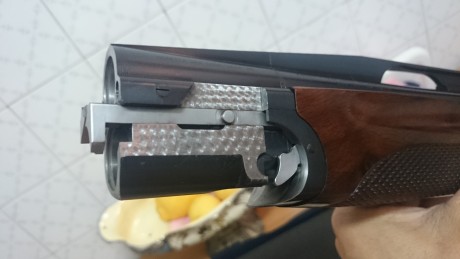 Vendo mi Beretta 682 Gold E X Trap. 
Culata regulable Montecarlo, banda alta, muy pocos disparos, entre 01