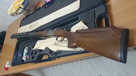 Vendo mi Beretta 682 Gold E X Trap. 
Culata regulable Montecarlo, banda alta, muy pocos disparos, entre 00