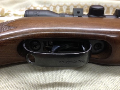 GAMO HUNTER 890 
Vendo carabina de aire comprimido GAMO HUNTER 890 de calibre 5,5 (.22) incluyo el visor 22