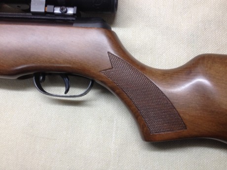 GAMO HUNTER 890 
Vendo carabina de aire comprimido GAMO HUNTER 890 de calibre 5,5 (.22) incluyo el visor 20