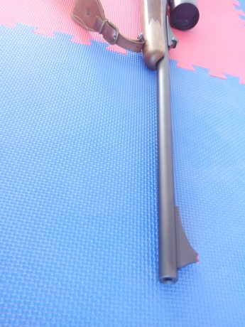 Buenos días!

Soy nuevo en este foro y casi casi nuevo en esto de la caza, estoy buscando mi primer rifle 61