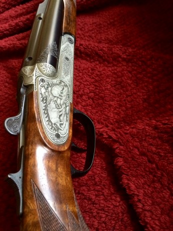 Vendido!,, 41