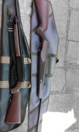 hola vendo estas 2 carabinas en perfecto estado , incluyen fundas , 130 euros portes incluidos , fotos 20