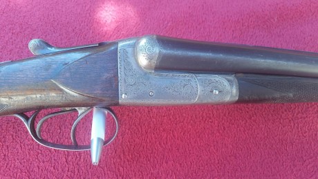 Vendo escopeta jabali, 
calibre 16, 
estractora, 
peso 2.800 kg, 
68 de cañon, 
choques fullchoke y medio 01