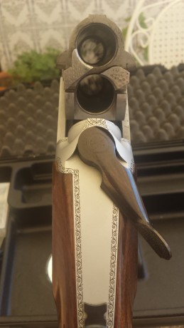 Muy a mi pesar vuelvo a poner a la venta mi aramberri Fuego.
Escopeta en excelente estado, con poco uso, 22