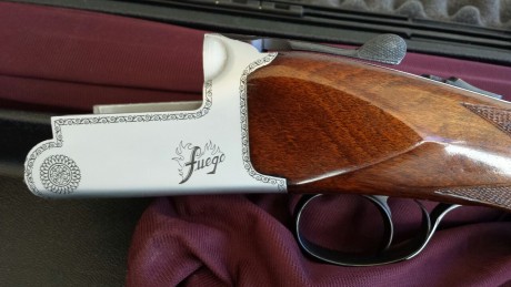 Muy a mi pesar vuelvo a poner a la venta mi aramberri Fuego.
Escopeta en excelente estado, con poco uso, 30