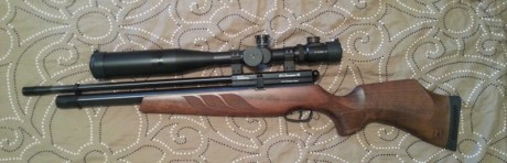 Hola, después de darle muchas vueltas he decidido quitarme el Uberti del .45 Long Colt, guiado en AE, 31