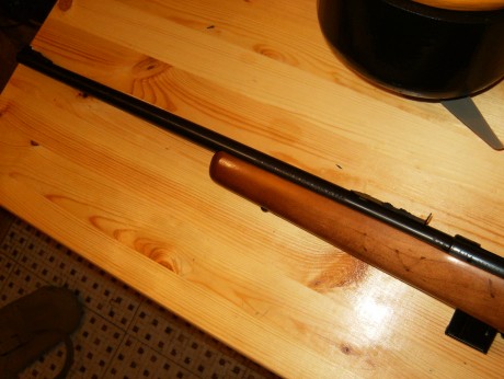 En venta carabina Marlin mod. 925 M en calibre .22 Magnum

Con 2 cargadores de 5 y 7 cartuchos.

El arma 01