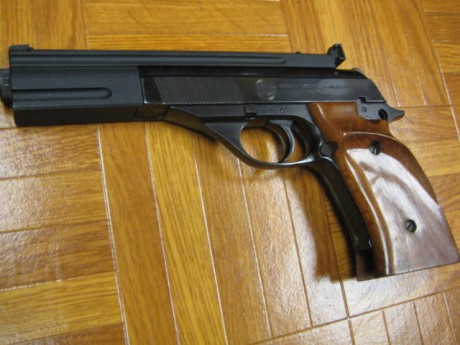Hola, un amigo me ha pedido que le anuncie esta pistola, Astra TS-22, con dos cargadores, y empuñadura 02