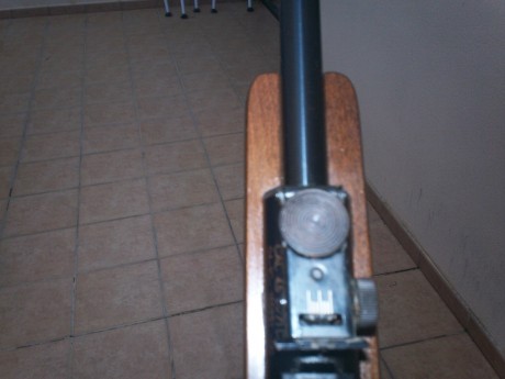 vendo carabina gamo cf30 cal 4.5 con ligeras marcas de uso
100 euros incluidos portes de encuentra en 10