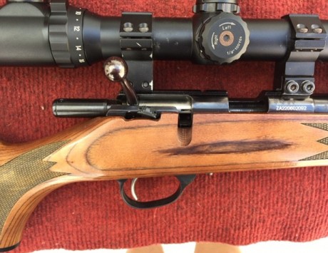 La carabina de cerrojo Remington Five es una buena opción tanto para los tiradores experimentados como 00