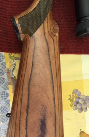 La carabina de cerrojo Remington Five es una buena opción tanto para los tiradores experimentados como 12