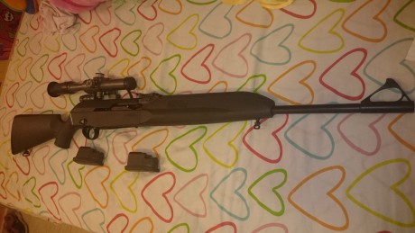 Buenas noches compañeros. Necesito vuestra ayuda.
Veréis, acabo de comprar de segunda mano un rifle semiautomático 11
