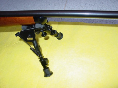 Vendo este magnifico conjunto:
Carabina Krico 22LR
Visor Sutter 3-12x50
bipode Cadwell

El arma tiene 00