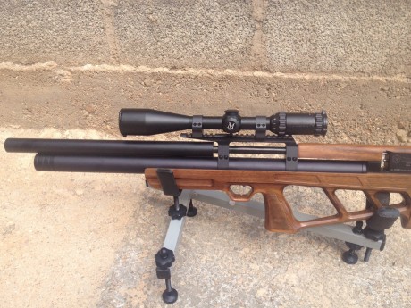 Hola vendo esta carabina, en perfecto estado. Incluiria una funda tactica, un tornillo de laton, carrillera 22