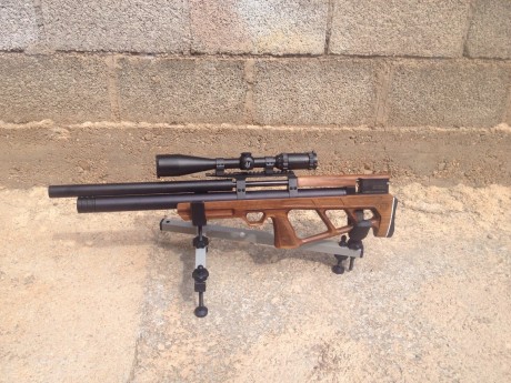 Hola vendo esta carabina, en perfecto estado. Incluiria una funda tactica, un tornillo de laton, carrillera 20
