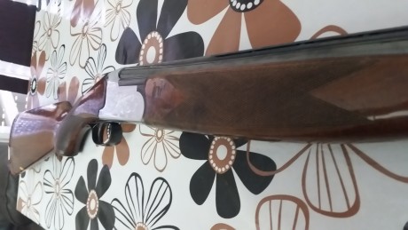 Hola estoy haciendo hueco en el armero y saco dos escopetas calibre 12 una franchi semiautomática y una 02