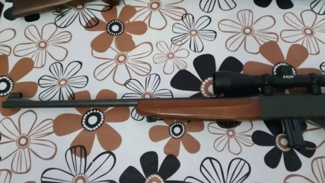 Vendo mi carabina Anchutz del 22 semiautomática .visor zeus 9x funda y su cargador de 10 .el arma esta 01
