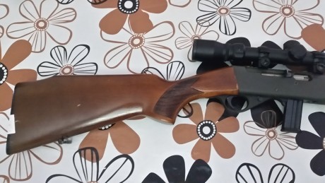 Vendo mi carabina Anchutz del 22 semiautomática .visor zeus 9x funda y su cargador de 10 .el arma esta 00