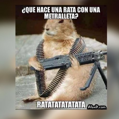 ¡Muy buenas a todos!

Estaba dando un paseo por el foro, cuando me he dado cuenta de que no había un hilo 10