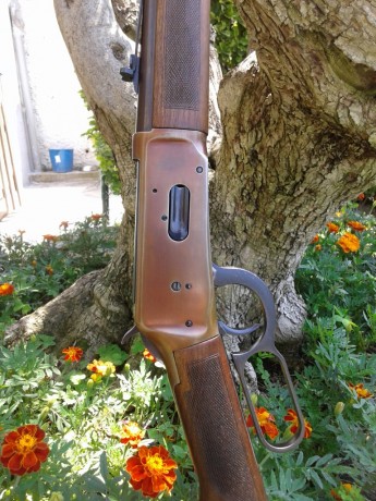    Buenas tardes

Otro a la venta, se trata de un Winchester modelo 94 calibre 30-30 en un acabado atípico 12