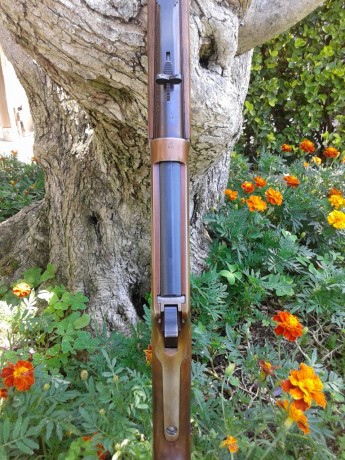   Buenas tardes

Otro a la venta, se trata de un Winchester modelo 94 calibre 30-30 en un acabado atípico 10