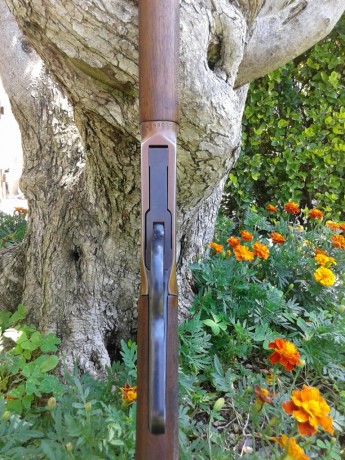    Buenas tardes

Otro a la venta, se trata de un Winchester modelo 94 calibre 30-30 en un acabado atípico 20