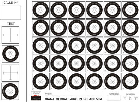 Hemos empezado con F-CLASS con los calibres gordos a 300 metros.
Ahora tenemos MINI F-Class con carabinas 40