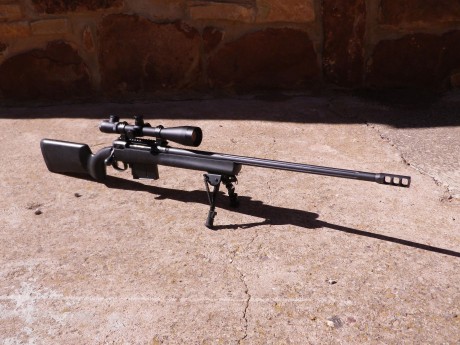 Vendo Savage 10/110 FCP  HS Precision 338 Lapua
Perfectamente conservado
Extras: Carril Picatinny integrado 10