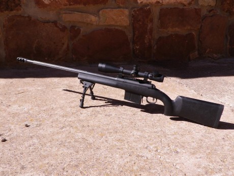 Vendo Savage 10/110 FCP  HS Precision 338 Lapua
Perfectamente conservado
Extras: Carril Picatinny integrado 20
