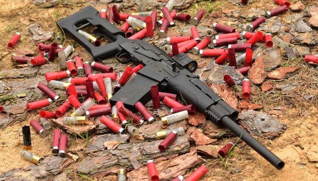 Hace tiempo que vengo dándole vueltas a la idea y al final me he decidido.

Como miembro de la NRA, recibo 141