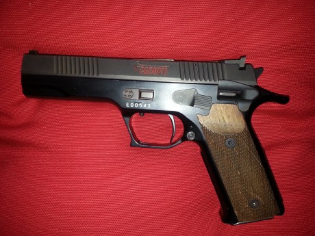 Pues una de las mejores armas de 9 mm para precisión cañon pesado de 8 estrias. 2 cargadores de capacidad 11