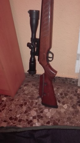 Vendo carabina de aire comprimido Cometa Fusión, del calibre 4.5, con un visor Leapers 3-9 x50 y con moderador 01