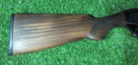 Beretta A 301. Cañón de 71cm fijo de 2 estrellas. Tiene muy poco uso, jamás se ha encasquillado. Esta 10