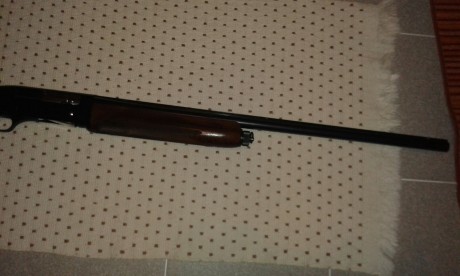  IMG-20150922-WA0006.jpg Pues eso vendo escopeta franchi modelo llama 500
Cal.12 polichok del 3 fijo
Precio 00