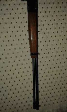  IMG-20150922-WA0010.jpg Al tema  vendo carabina del 22 marochi del cal 22 semiautomática capacidad para 02