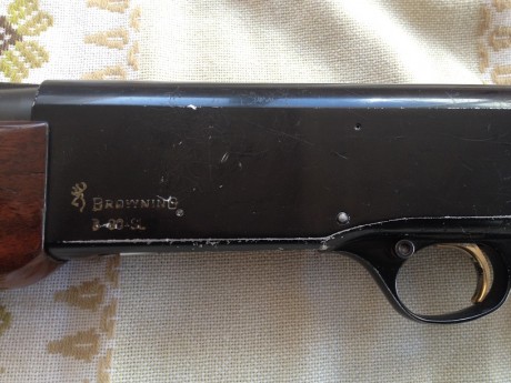 Hola, púes lo dicho cambio mi escopeta semiautomática marca BROWNING B80 SL ,me interesaría cambiarla 11