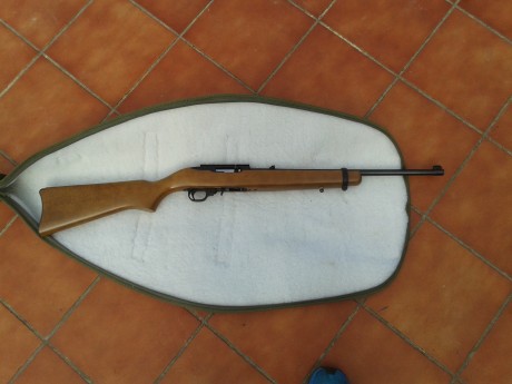  VENDO RUGER 10 22 (CAL 22) 
EL ARMA SE PUEDE VER Y PROBAR EN CANTABRIA-BILBAO. COMPRADA HACE 4 AÑOS, 00