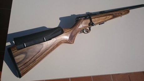 Se vende carabina del 22lr marca Savage  Mark II BV en estado impecable como se puede apreciar en la foto 01