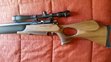 Hola vendo daystate air wolf calibre 4.5. El arma esta completamente nueva. 10 sobre 10. Sin marcas de 12