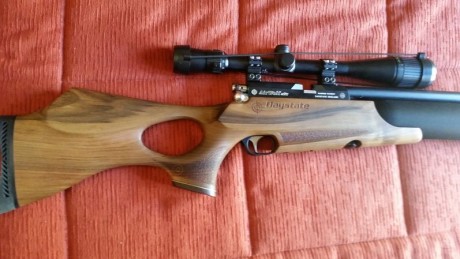 Hola vendo daystate air wolf calibre 4.5. El arma esta completamente nueva. 10 sobre 10. Sin marcas de 11