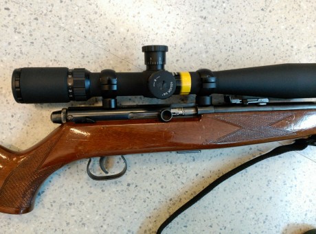 Vendo carabina 22LR marca Krico. Es semiautomatica pero tiene la posibilidad de bloquear el cierre y usarla 00